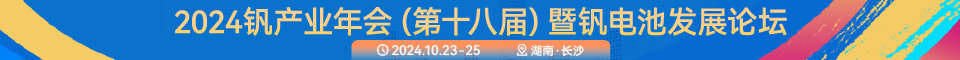 2024年长沙钒会议