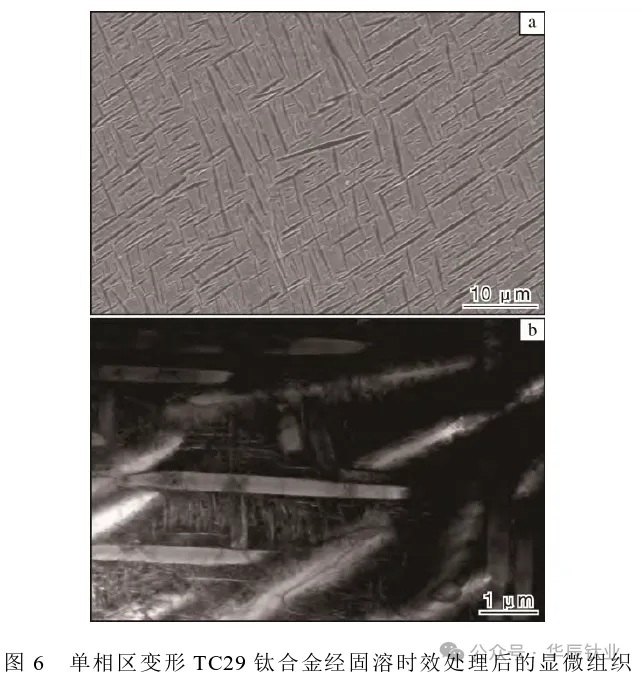 202507250900321836.png